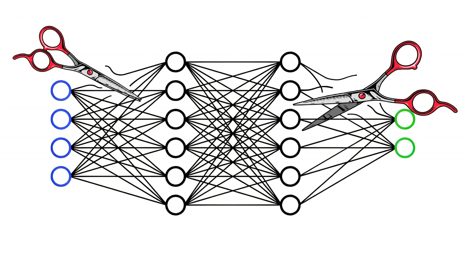 Новинки книг про содружество и нейросети. Network Optimization.