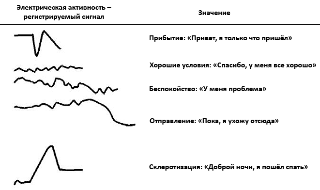 Зачем учёные делают компьютеры на грибах, конопле и слизи? - 13