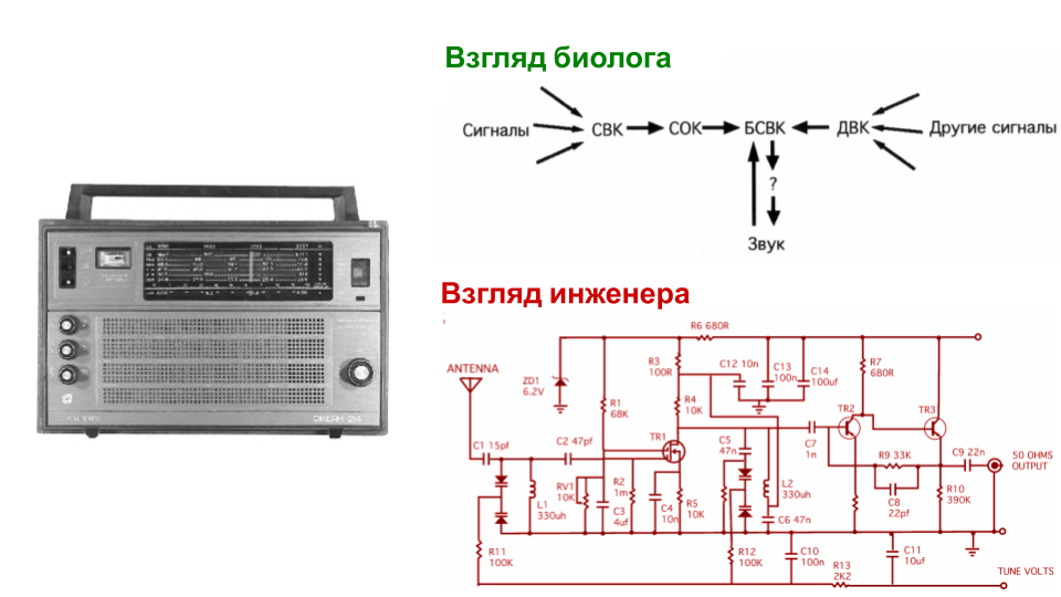 Может ли биолог починить радио? 20 лет спустя - 1