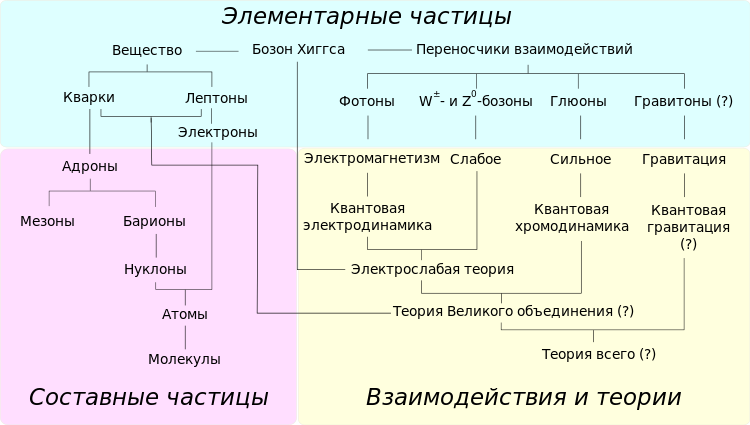 Мюоны (вместе с электронами и нейтрино) входят в семейство лептонов. Сами они вряд ли являются переносчиками взаимодействия, их достаточно хорошо изучили (они рекордсмены по времени жизни, дольше распадается только нейтрино). Но мюоны могут указать на одну из новых элементарных частиц, отвечающих за свою фундаментальную силу. Также в начале XX века противоречия между результатами экспериментов и классической волновой теорией света вынудили Альберта Энштейна сформировать теорию существования фотона, «светового кванта», который мы теперь считаем переносчиком электромагнетизма.