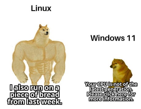 Big dog=Linux. Says, “I also run on a piece of break from last week.” Small dog=Windows 11. Says, “Your CPU is not of the latest generation. Please click here for more information.”