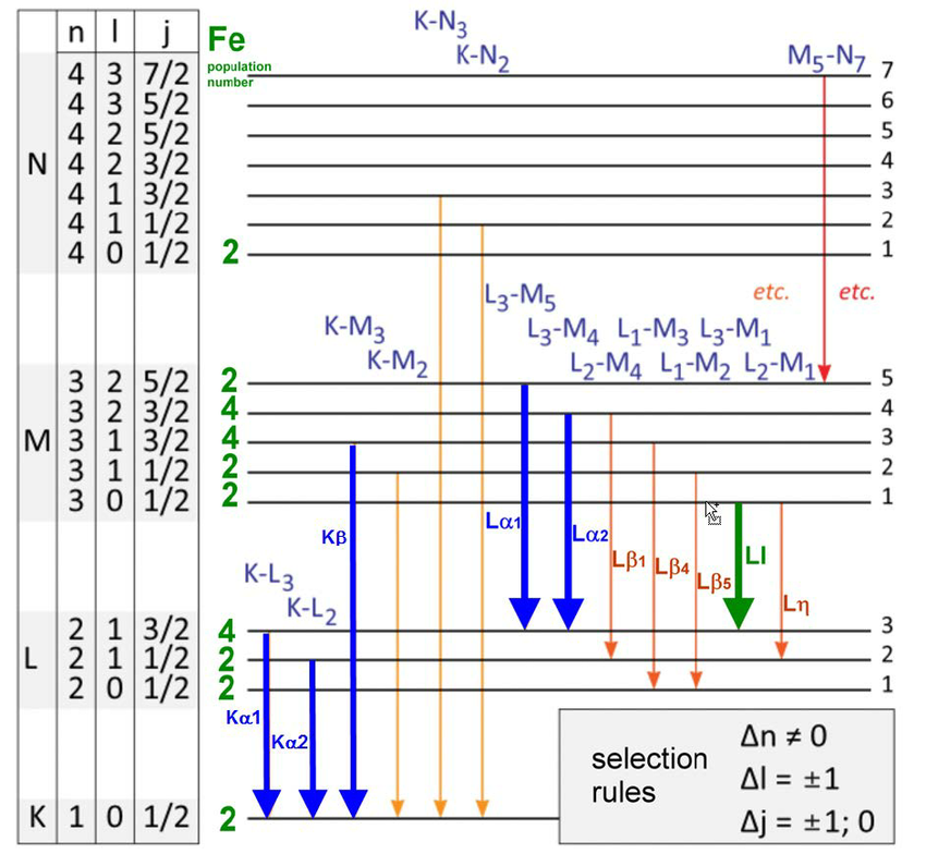 Разнообразие энергетических уровней и правила выбора для переходов электронов в атоме железа. Хотя многими квантовыми системами можно управлять, чтобы добиться чрезвычайно энергоэффективных переходов, биологических систем, работающих подобным образом, не существует.
