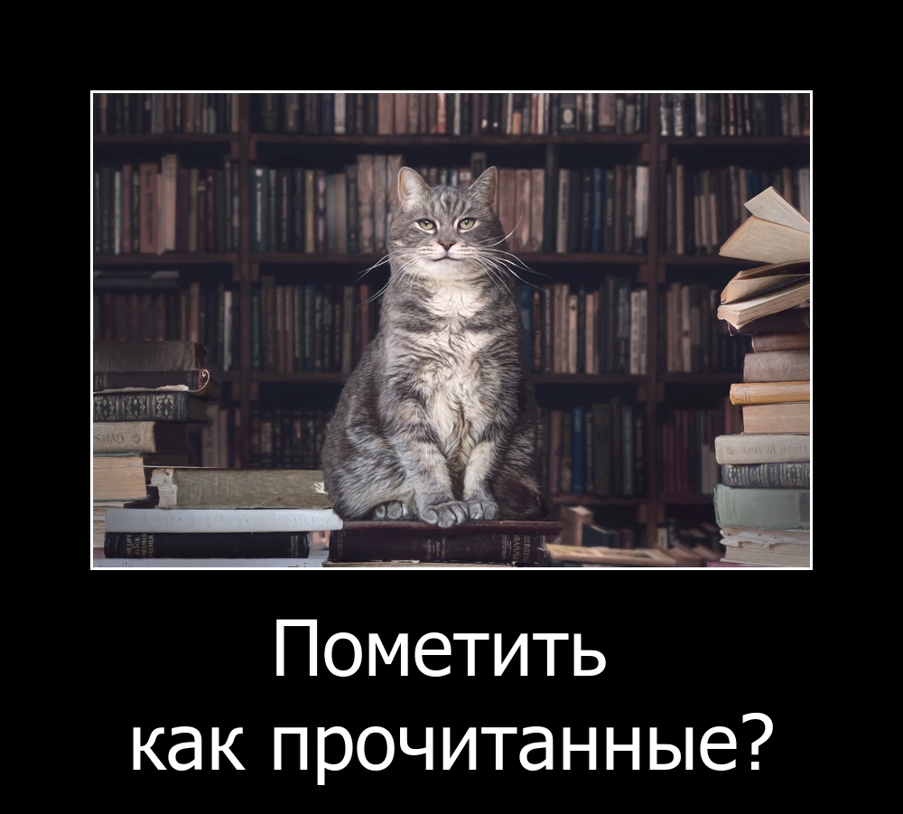 Как разработчику организовать личную базу знаний: систематизация информации из книг, статей, видео и курсов - 3