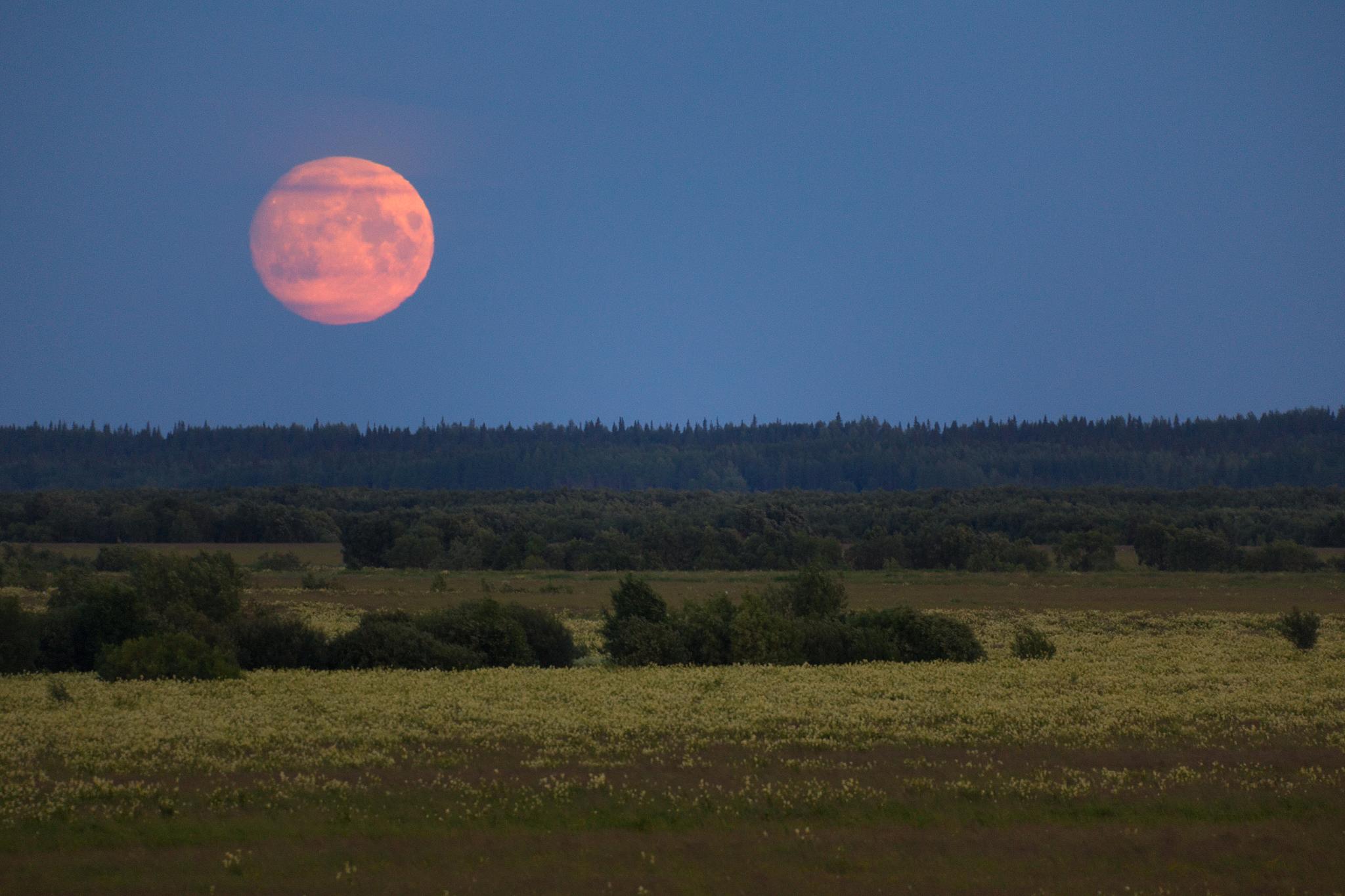 Фотографируем небесные явления и астропейзажи в городе - 38