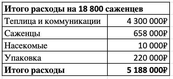 Как я закрыл свой бизнес по выращиванию клубники, или что бывает, если закопать 5 млн в землю - 13