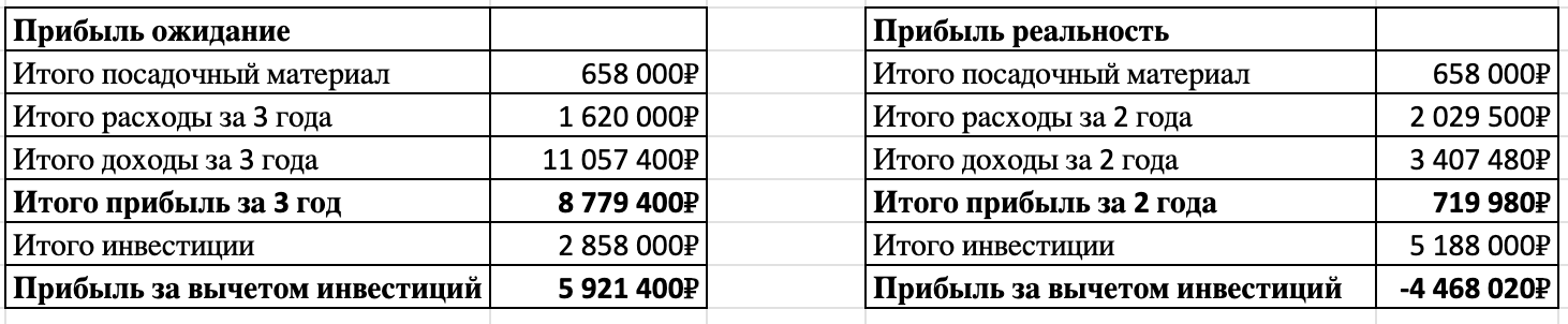 Слева – ожидание (5,9 млн ₽ прибыли). Справа – реальность (минус 4,4 млн ₽)