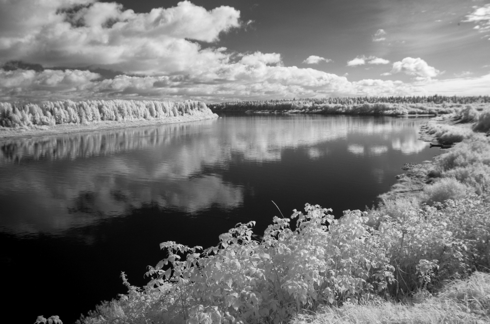 Любительская фотография в ближнем ИК-диапазоне - 9