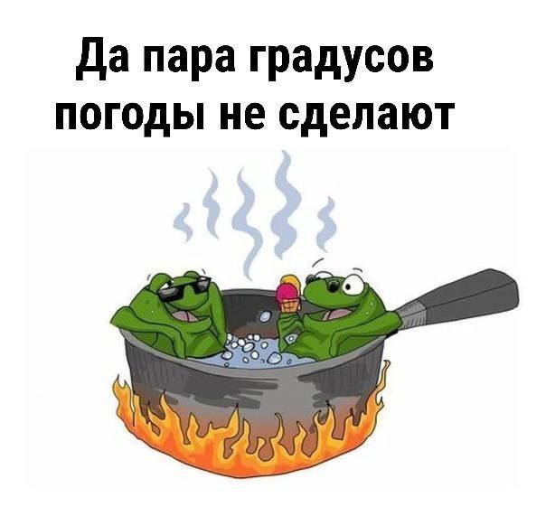 Как сварить лягушку: в российском IT растёт число самозанятых - 1