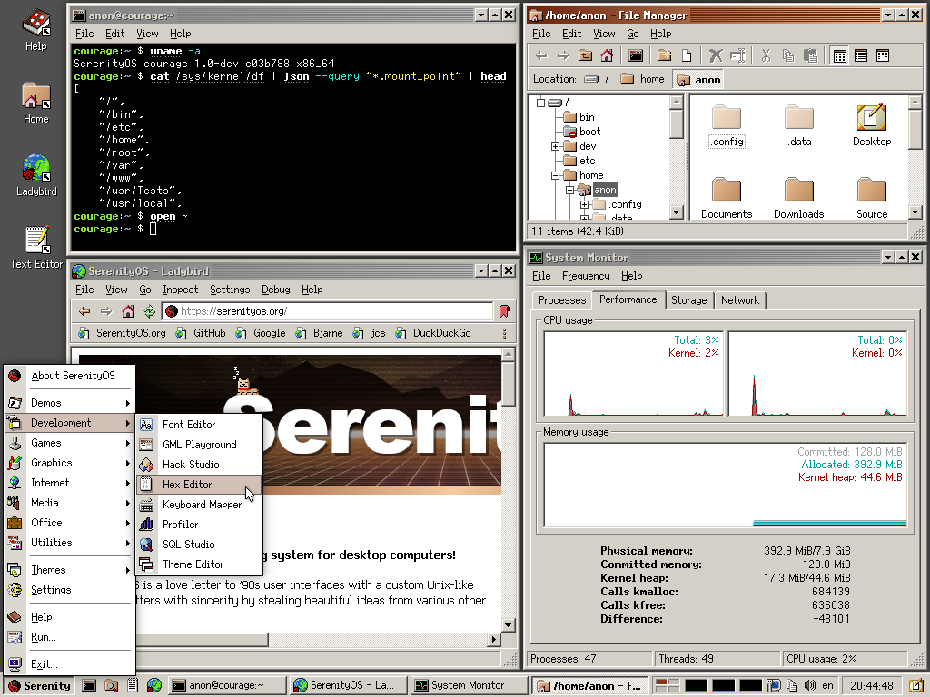 Андреас Клинг, его операционная система SerenityOS и браузер Ladybird - 2