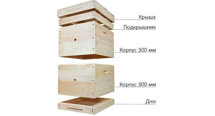 Пчелы заселяются в 1 корпус на 10 рамок, а по мере роста семьи пчеловод добавляет корпуса и пчелосемья идет вверх. В августе улей сокращается до 1 корпуса и мед забирается. 