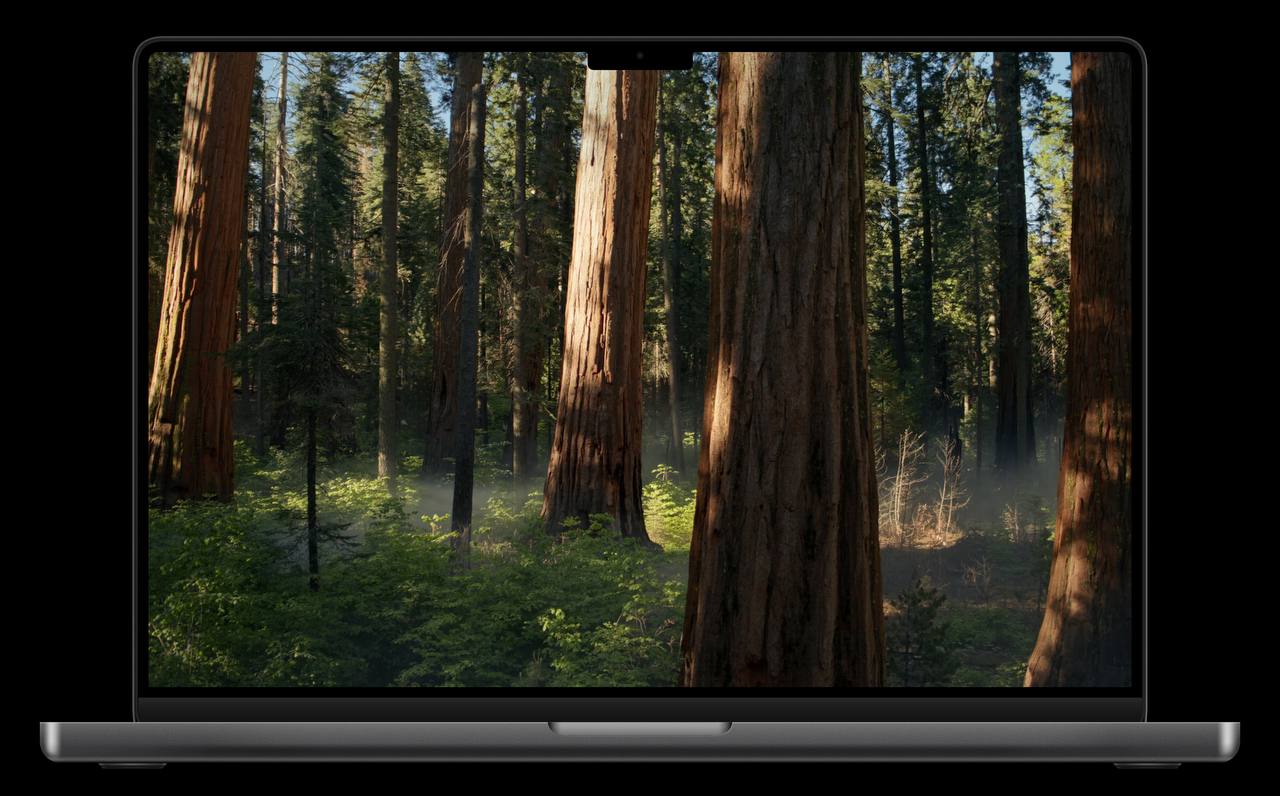 Новые динамические обои в macOS Sequoia