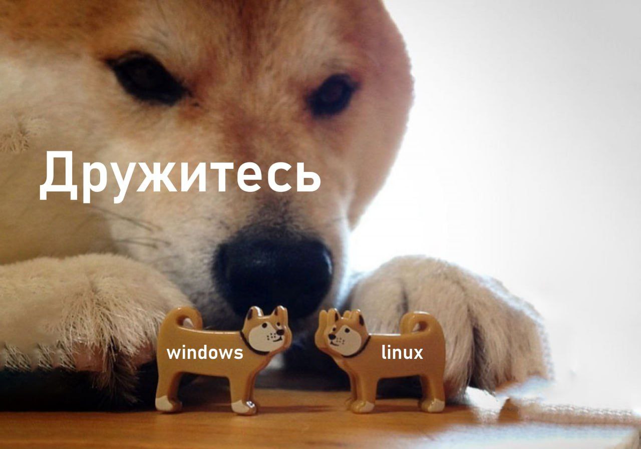 Как пользователям Linux продолжить работать с приложениями Windows: решаем с помощью Termit - 1