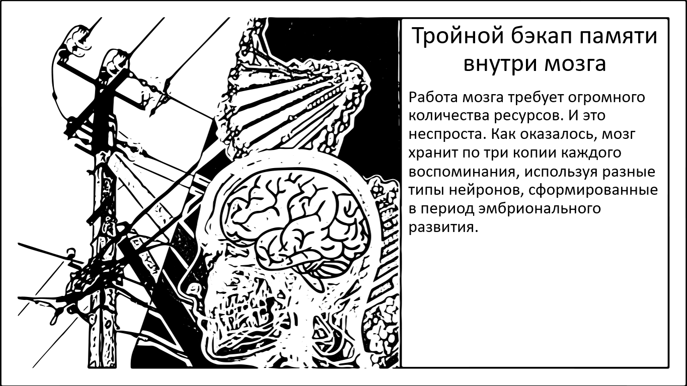 Бэкап памяти. Наш мозг хранит по 3 копии каждого воспоминания - 1