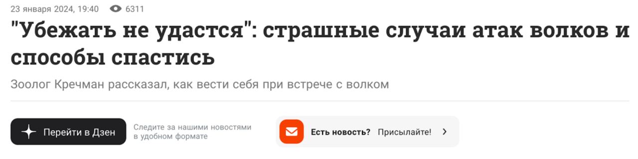 Несмотря на то, что волков мало, постоянно есть случаи, например, в саратовской области в этом году опять стая волков загрызла пастуха.   