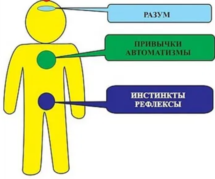 Возможное решение «Трудной проблемы сознания» - 6