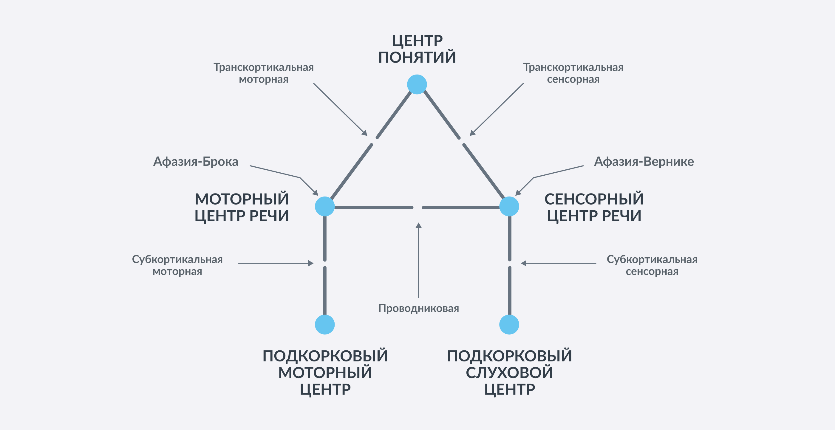 Схема Вернике – Лихтгейма – Гешвинда. Разрывы в линиях – это афазии, нарушения речи. Их подробно исследовал советский ученый А.Р. Лурия. 