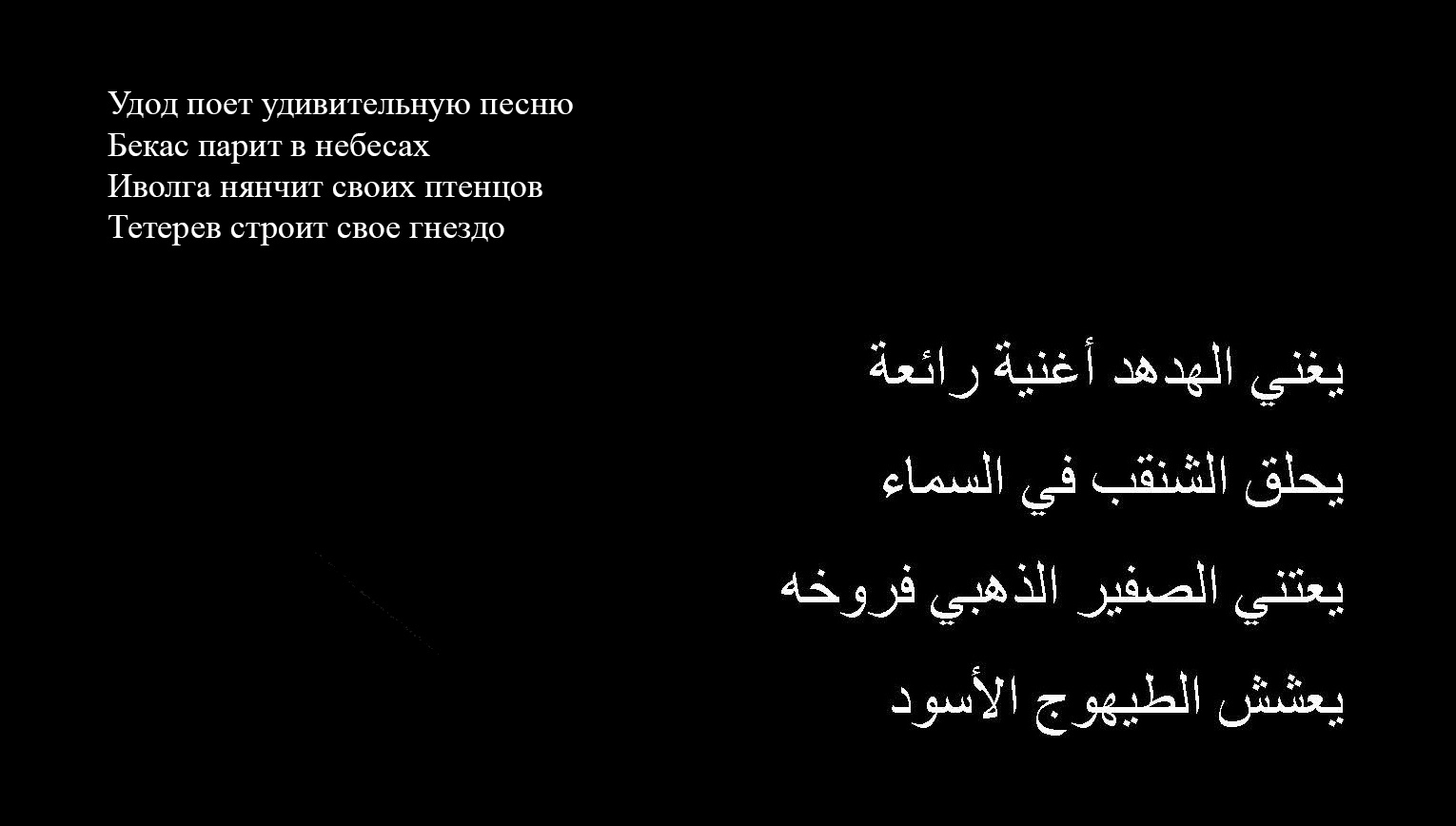 Пример арабского птичьего шифра (перевод на русский язык адаптирован). Если сложить первые буквы названий птиц, то получается слово «убит»