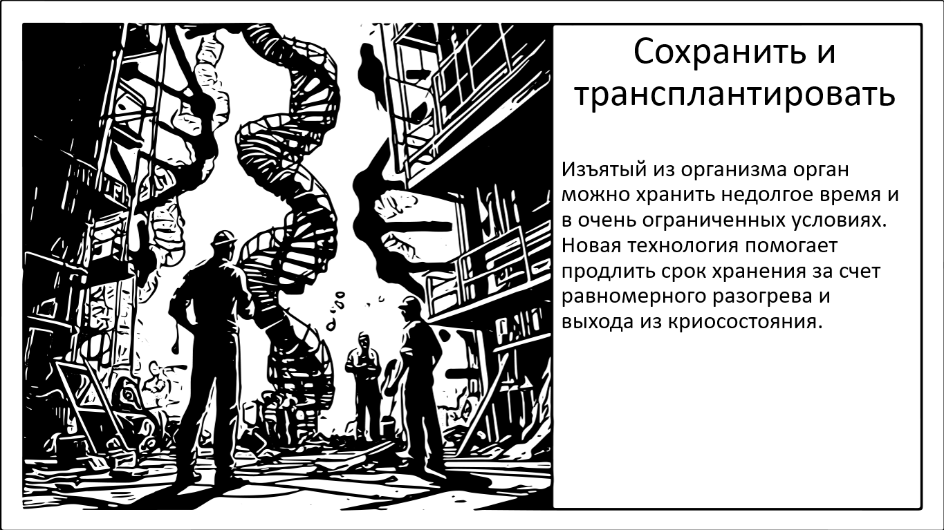 Новая технология для сохранности и трансплантации органов - 1