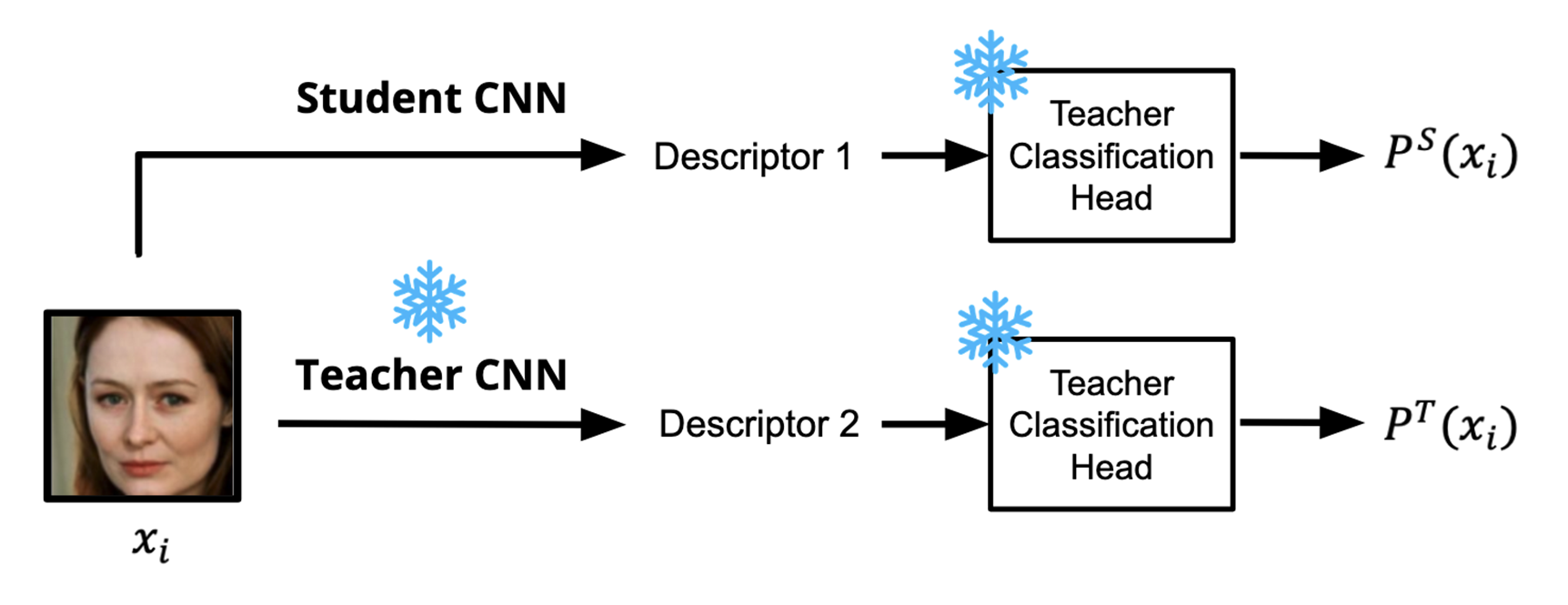 [Margin based knowledge distillation for mobile face recognition, Nekhaev et al, 2020]