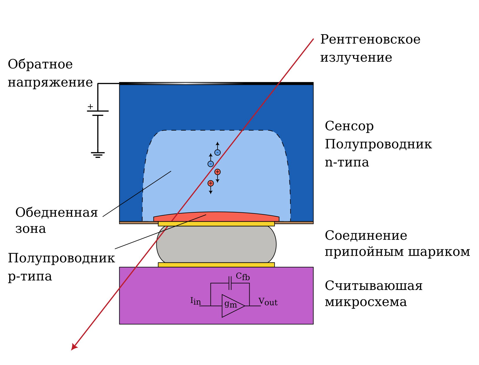 Схема одного пиксельного элемента детектора.