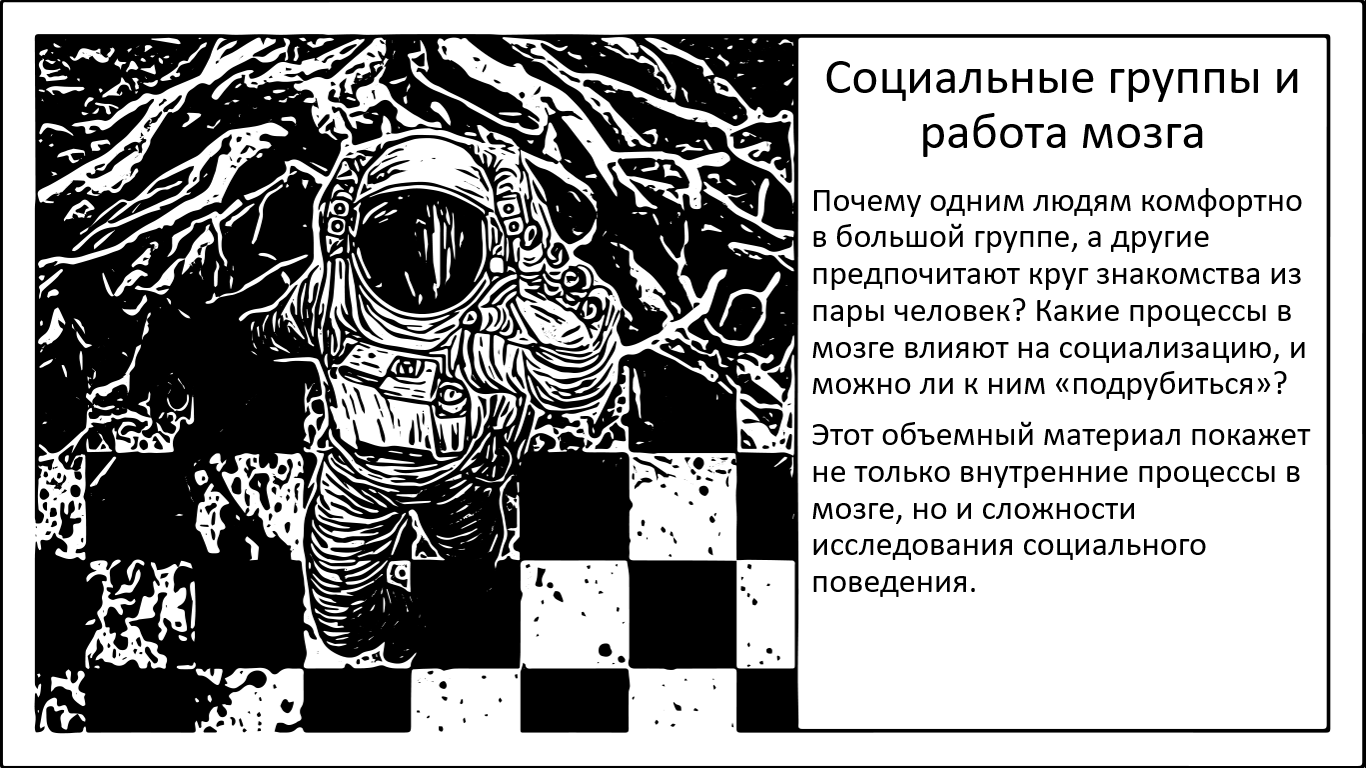 Социальное поведение. Как мозг определяет комфортное для вас лично количество людей? - 1