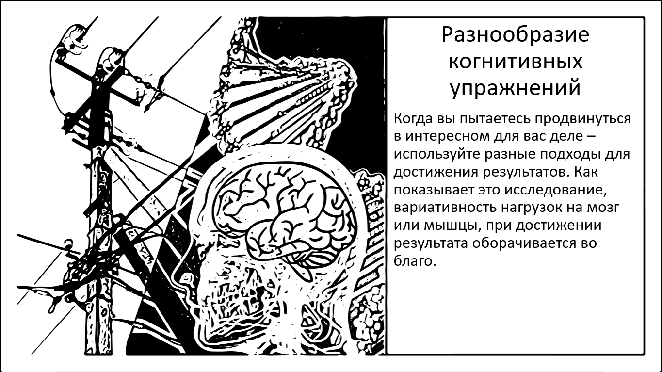 Разнообразие когнитивных упражнений улучшает память - 1