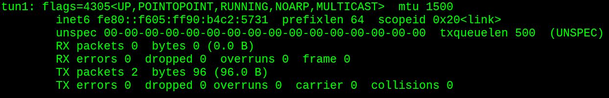 Интерфейс tun1, который создал tun2proxy