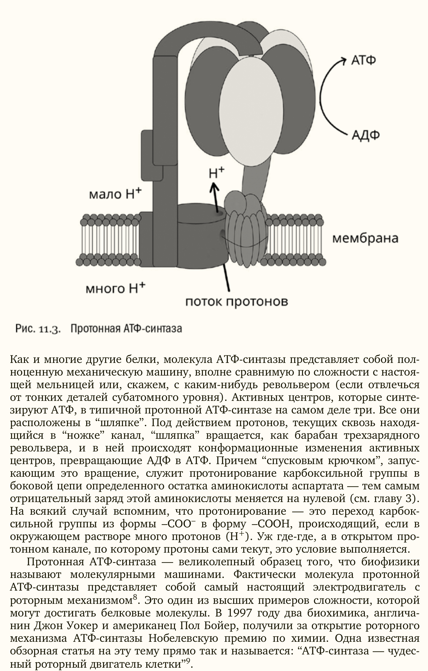 Пара тупых ответов про эволюцию - 6