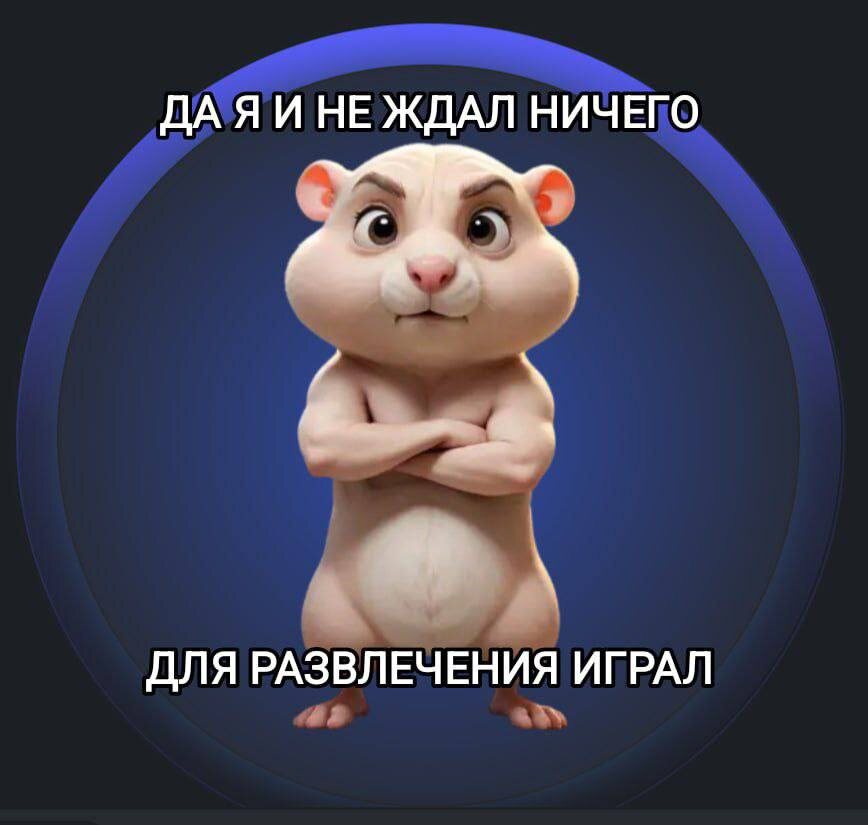 Что говорит после дропа каждый уважающий себя пользователь Hamster Kombat.