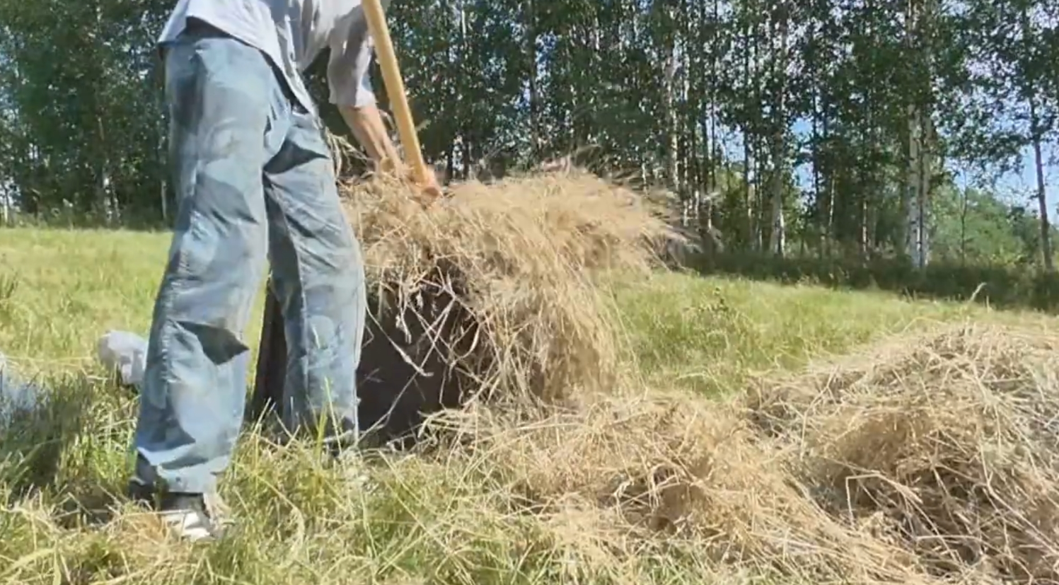 Затем сено складываю в ящик, тоже самодельный