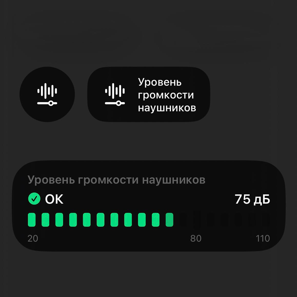 Функция доступна в каталоге Пункта Управления в разделе «Универсальный доступ»