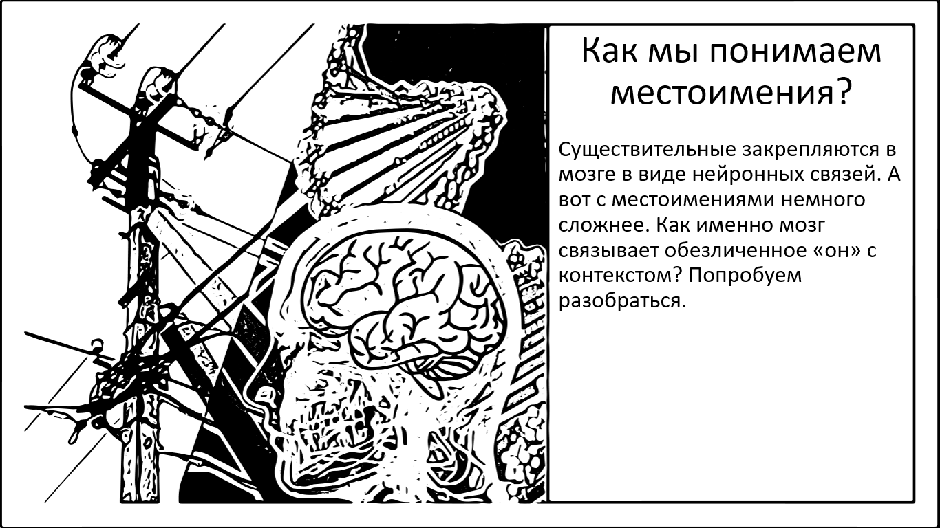 Память, мозг, речь. Как мы понимаем местоимения? - 1