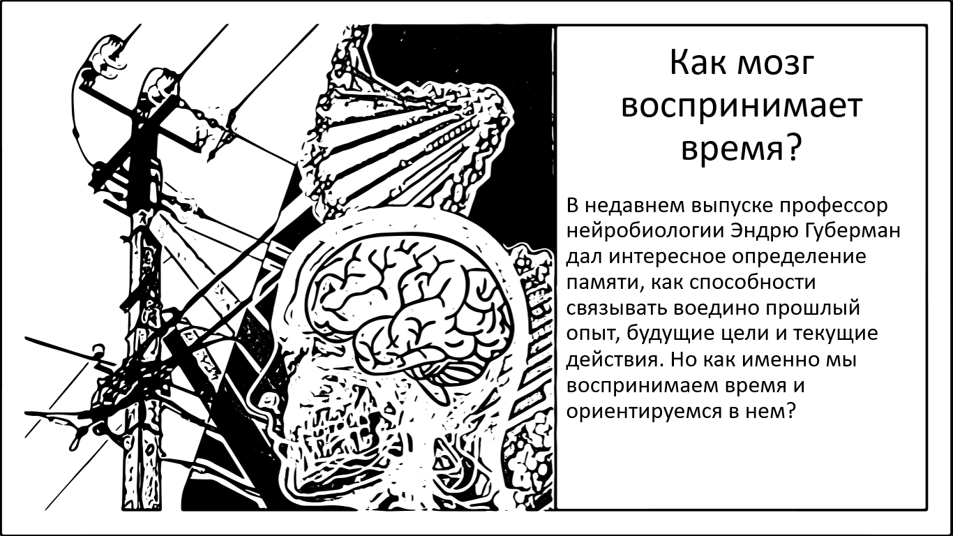 Как мозг воспринимает время. И почему пространство-время выглядит как единая структура? - 1