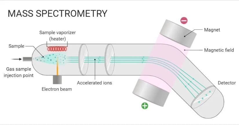 Устройство масс-спектрометра: образец испаряется и ионизируется, поток ионов отклоняется магнитным полем в зависимости от их отношения массы к заряду и детектируется.  