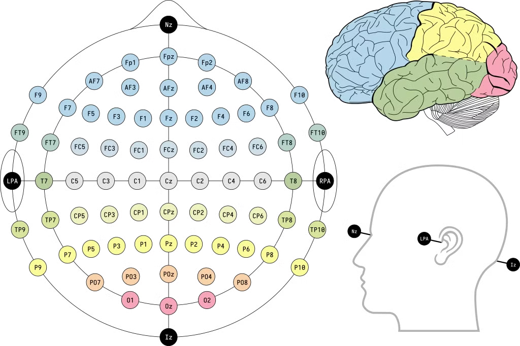 ЭЭГ система 10-20 с дополнительной информацией о зонах мозгаhttps://en.wikipedia.org/wiki/File:EEG_10-10_system_with_additional_information.svg