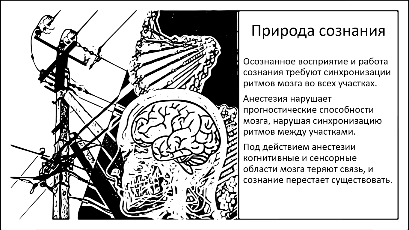 Природа сознания. Как возникает и исчезает сознание - 1