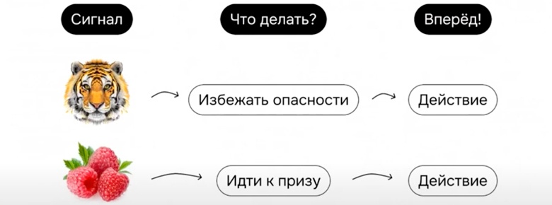 Что делать, если выгорела половина команды, бизнес встал, а вам не хочется ничего делать? - 2