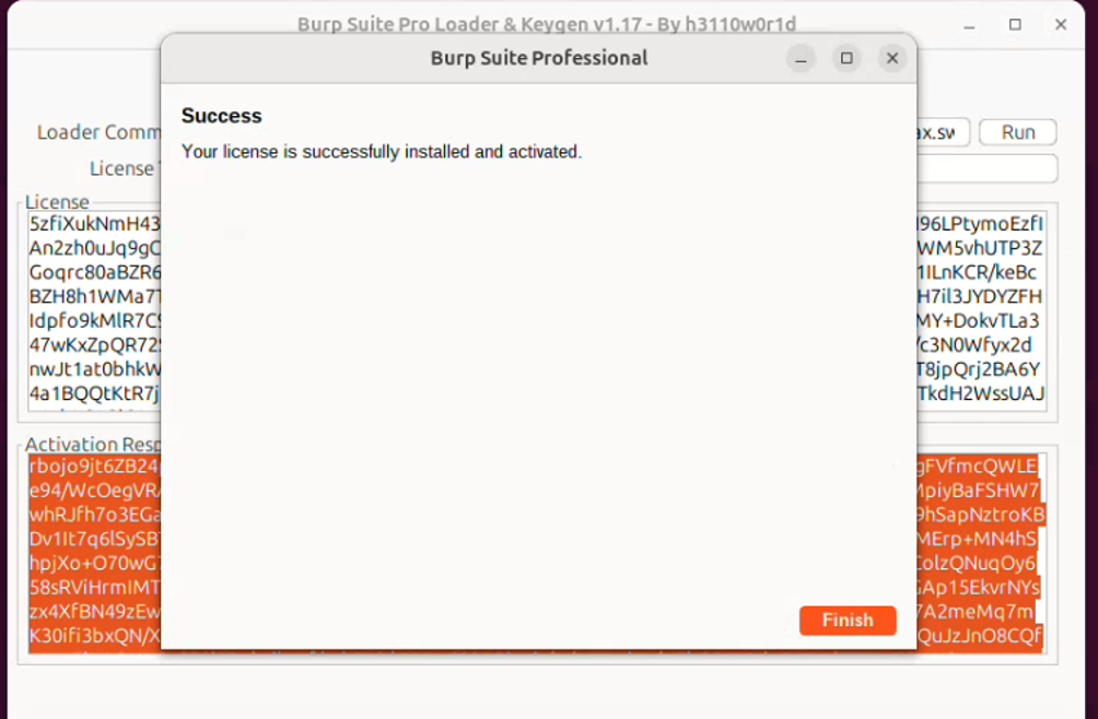 Настройка BurpSuite professional на Ubuntu 24 - 11