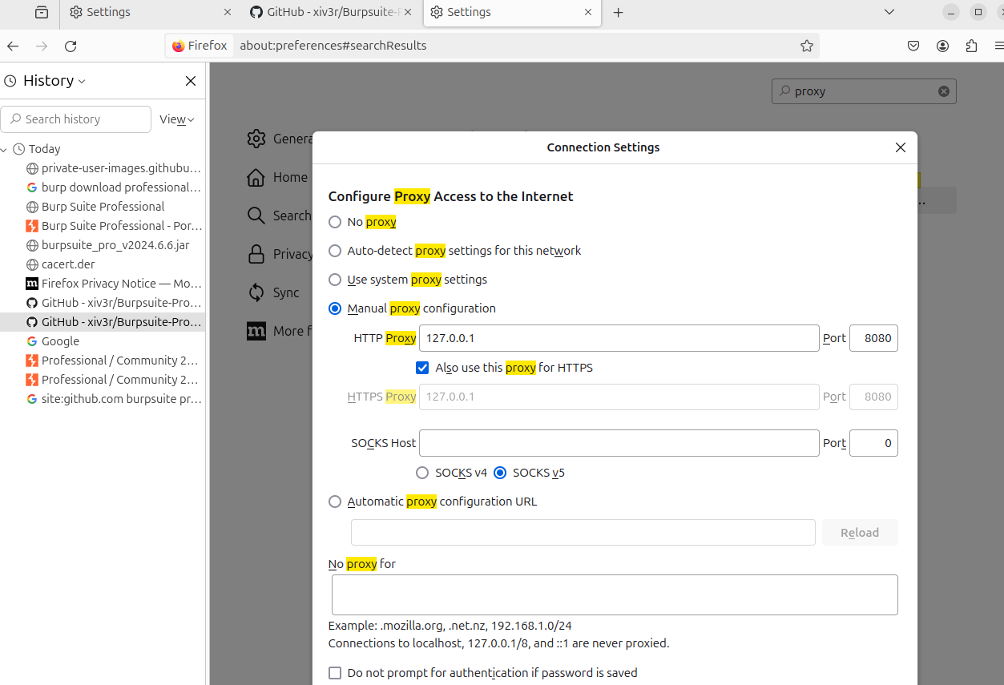 Настройка BurpSuite professional на Ubuntu 24 - 14