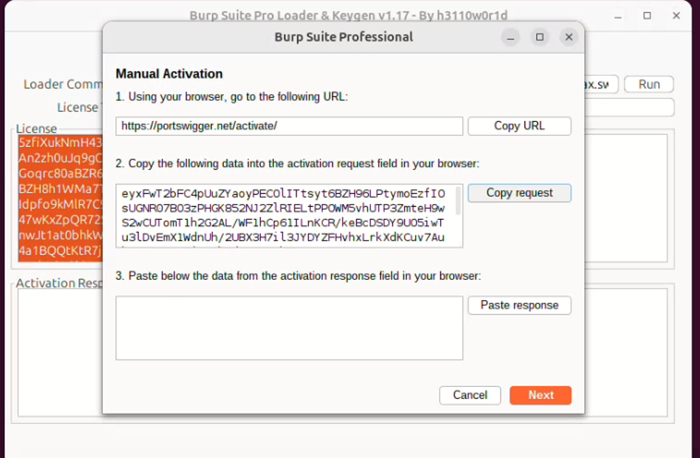 Настройка BurpSuite professional на Ubuntu 24 - 8