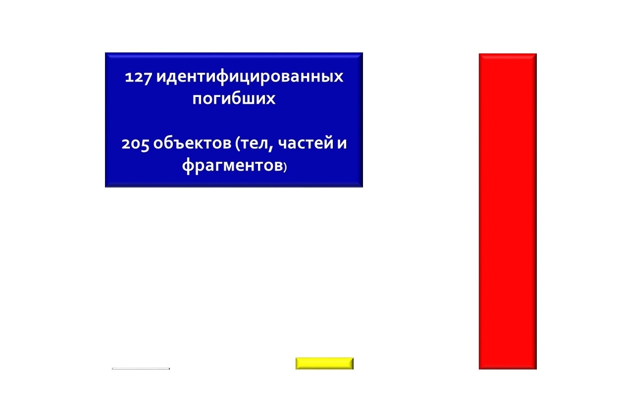 Белый столбик - пригодны к опознанию, жёлтые - условно пригодны. Красный же олицетворяет то, что не удается идентифицировать