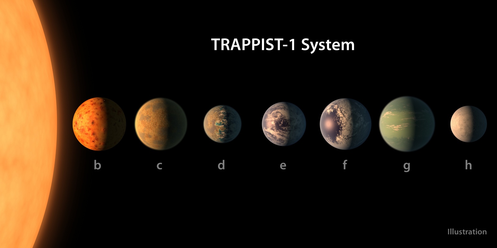 Четыре из семи планет TRAPPIST-1 — с d по g — находятся в зоне обитаемости своей звезды и могут иметь жидкую воду на поверхности  Источник: Источник: R. HURT AND T. PYLE/NASA  