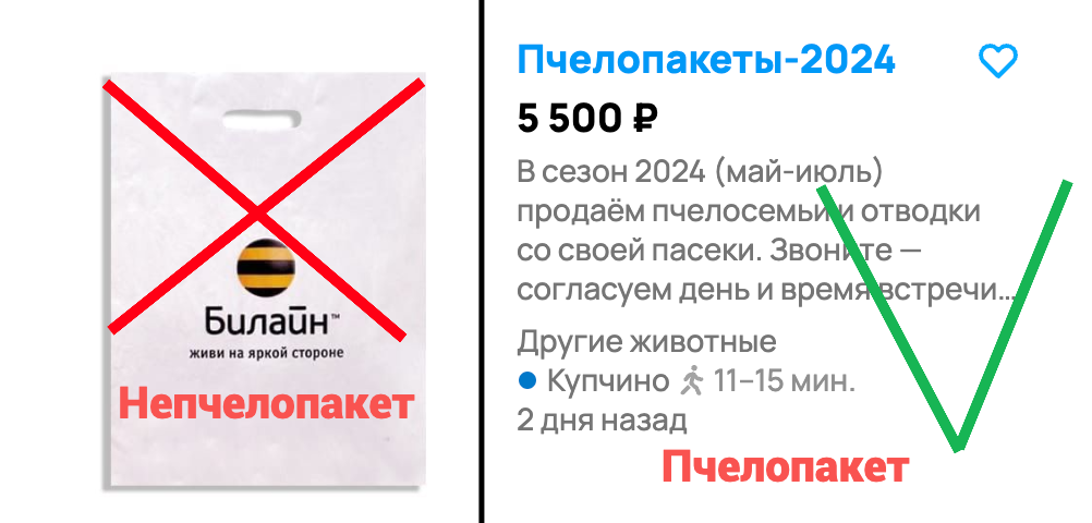 На моем производстве нет выходных, служебное жилье – каморка, работают за еду, а штат все равно растет - 6