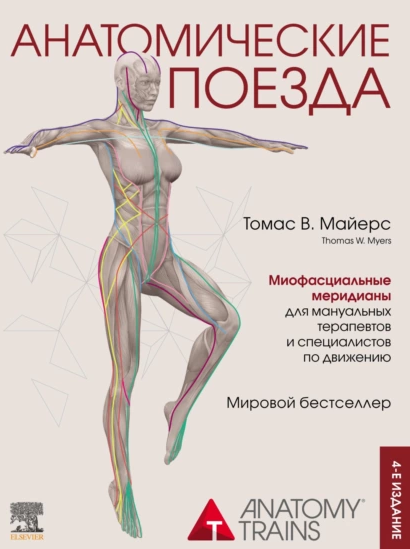 Обзор книги Томаса Майерса «Анатомические поезда». Анатомия с ног на голову или тело, как единая система - 1