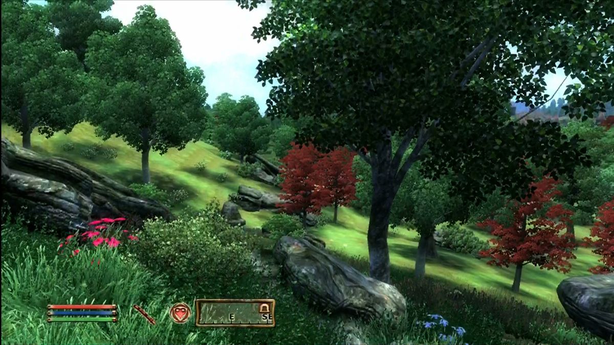 The Elder Scrolls IV: Oblivion (2006 год, Xbox 360) имела красивые спроецированные тени деревьев.