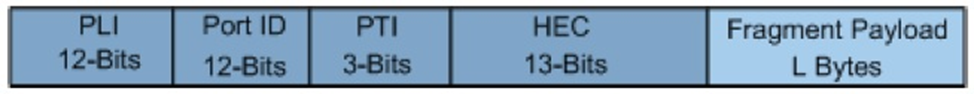 Рис.1.5– Заголовок GEM фрейма (GPON)