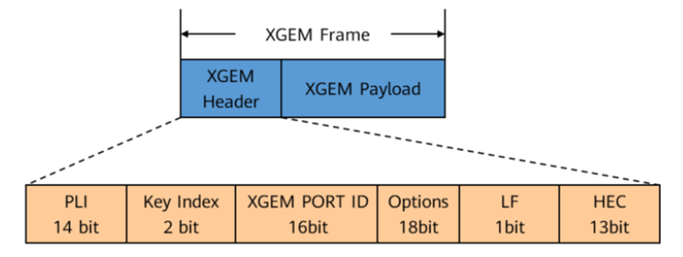 Рис.1.6– Заголовок XGEM фрейма (XGSPON)