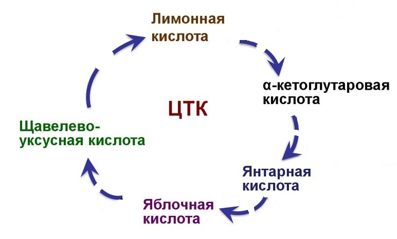 Пленка на чае. Блеск и нищета - 8