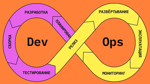 ИТ-шники: разновидности, отличительные черты - 10